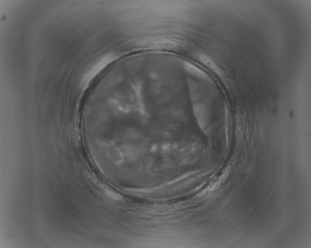 X0000077361071200611031840