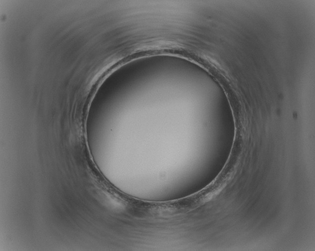 X0000077361073200611031840