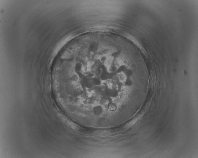 X0000077361075200611031840