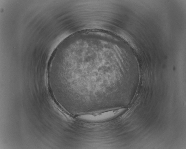 X0000077361076200611031840