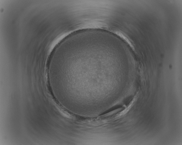 X0000077361077200611031840