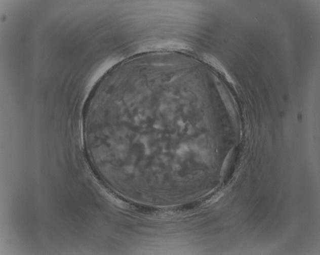 X0000077361079200611031840