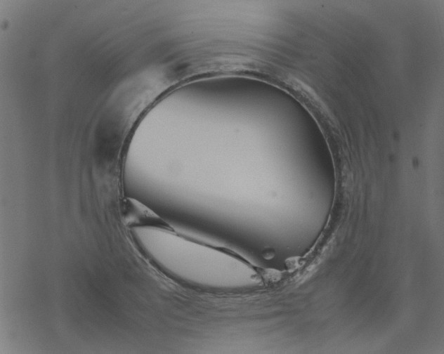 X0000077361081200611031840