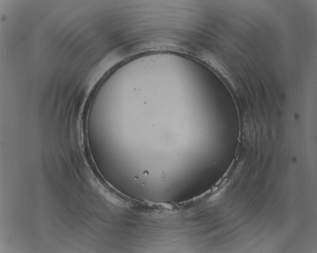 X0000077361082200611031840