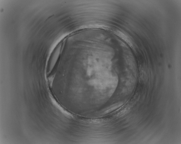 X0000077361084200611031840