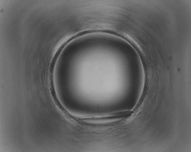 X0000077361085200611031840