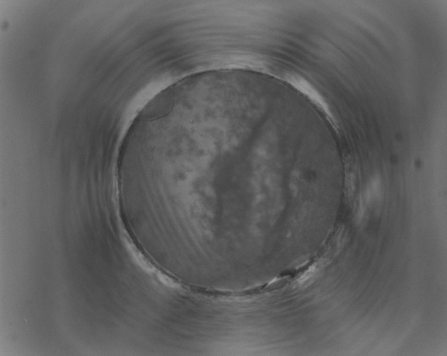 X0000077361088200611031840