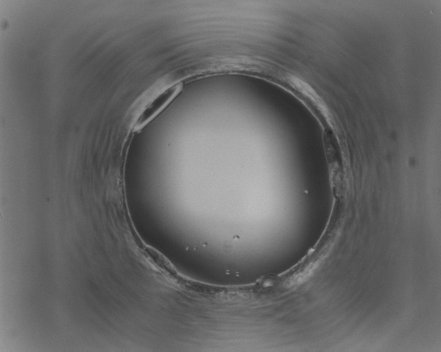 X0000077361089200611031840