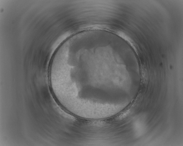 X0000077361090200611031840