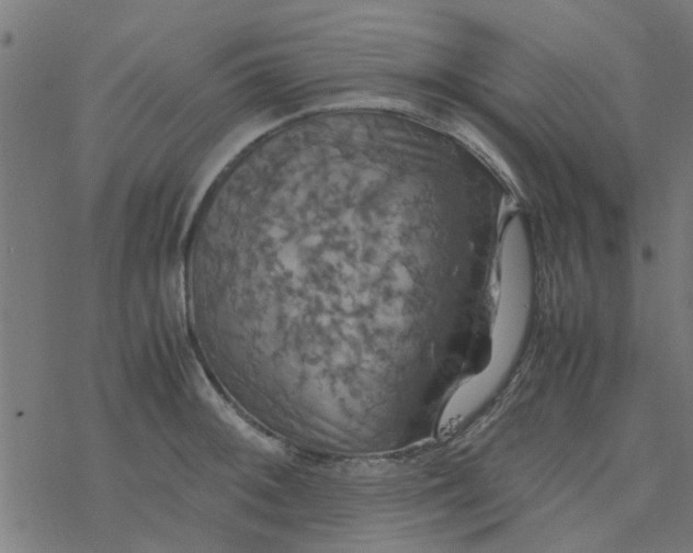 X0000077361092200611031840