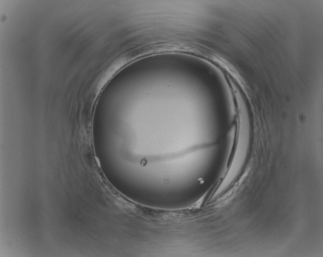 X0000077361097200611031840