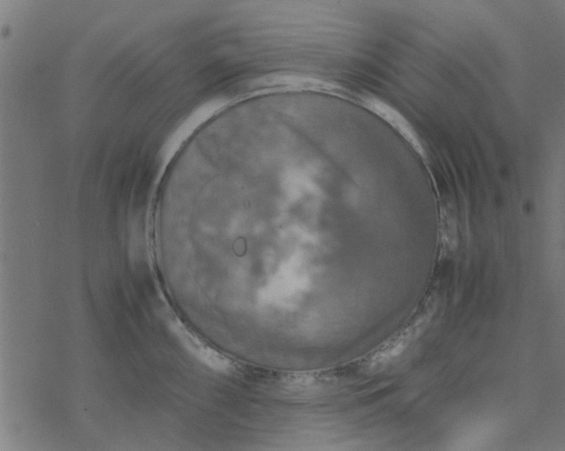 X0000077361098200611031840