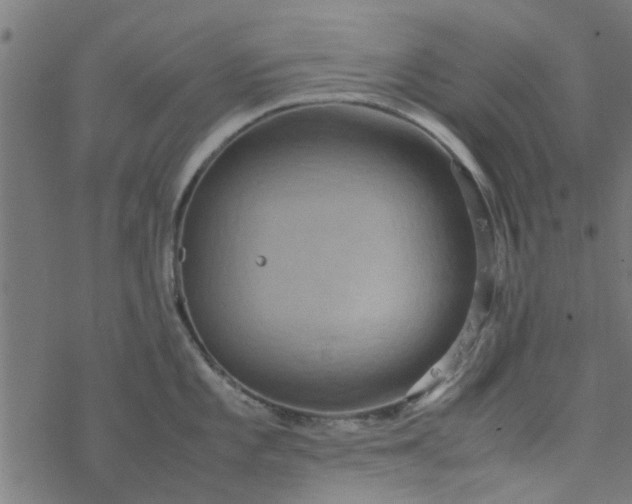 X0000077361101200611031840