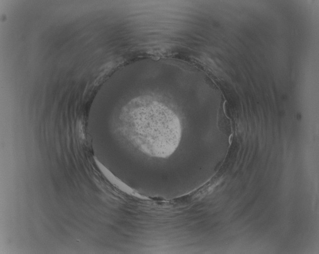 X0000077361106200611031839