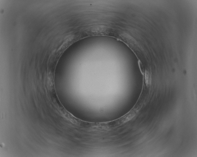 X0000077361107200611031839