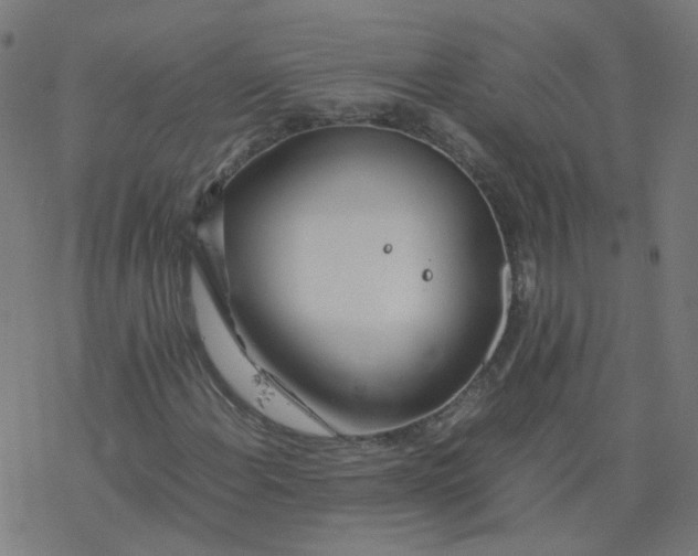 X0000077361108200611031839