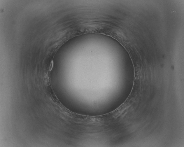 X0000077361109200611031839