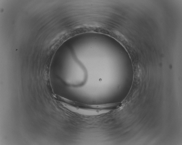 X0000077361110200611031839