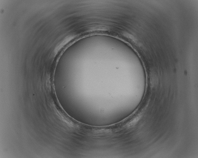 X0000077361113200611031839