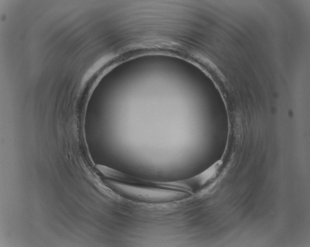 X0000077361114200611031839