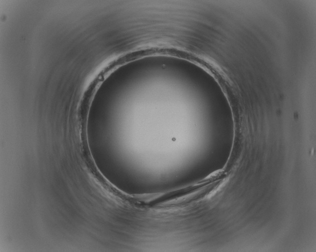 X0000077361118200611031839