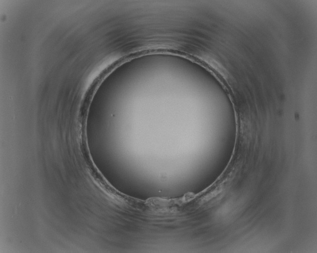 X0000077361119200611031839