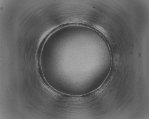 X0000077361120200611031839