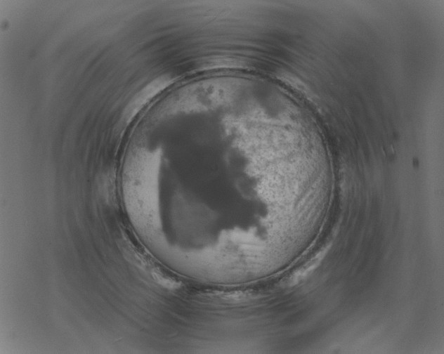 X0000077361121200611031839