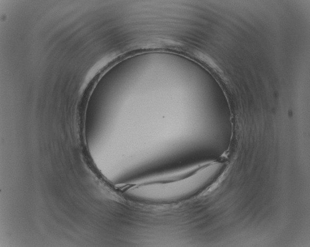 X0000077361122200611031839