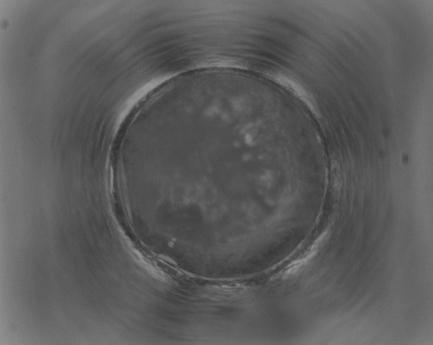 X0000077361125200611031839