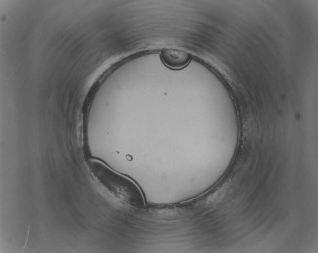 X0000077361126200611031839