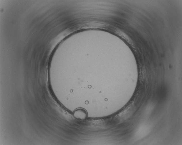 X0000077361130200611031839