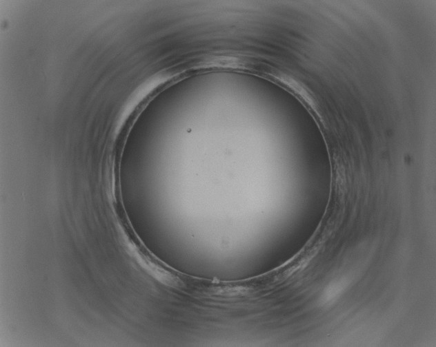 X0000077361131200611031839