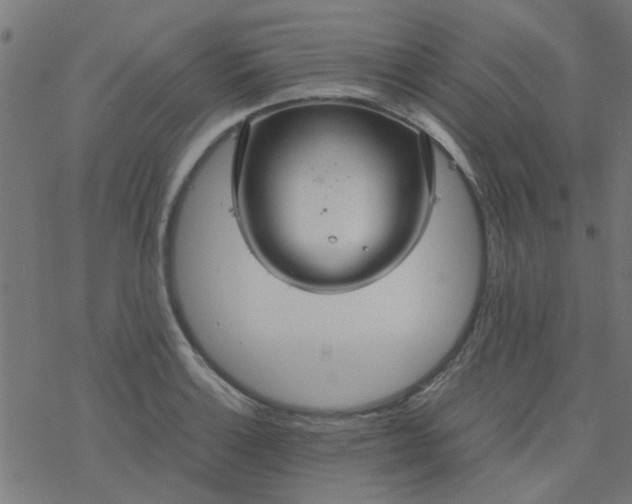 X0000077361132200611031839