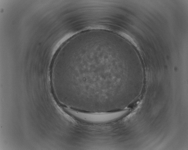 X0000077361133200611031839