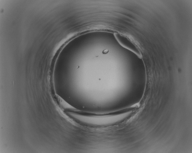 X0000077361134200611031839