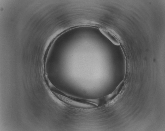 X0000077361136200611031839