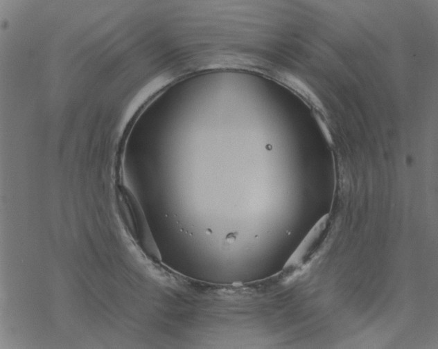 X0000077361138200611031840