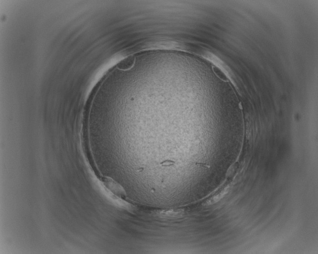 X0000077361139200611031840