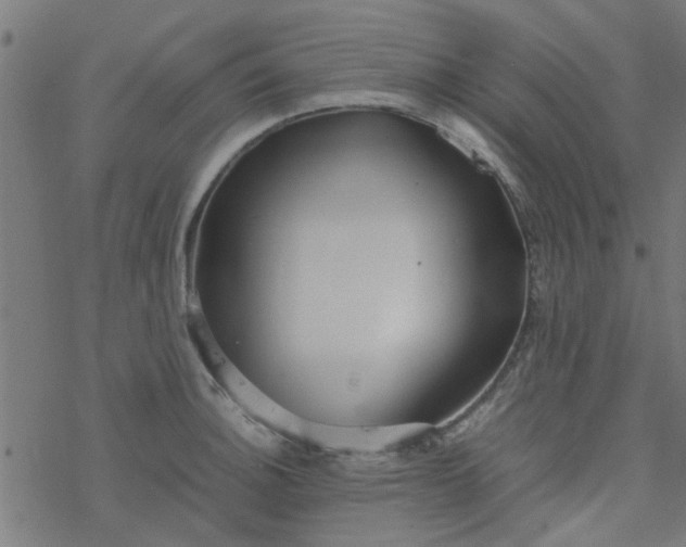 X0000077361140200611031840