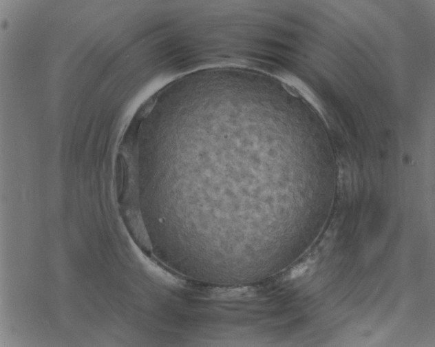 X0000077361143200611031840