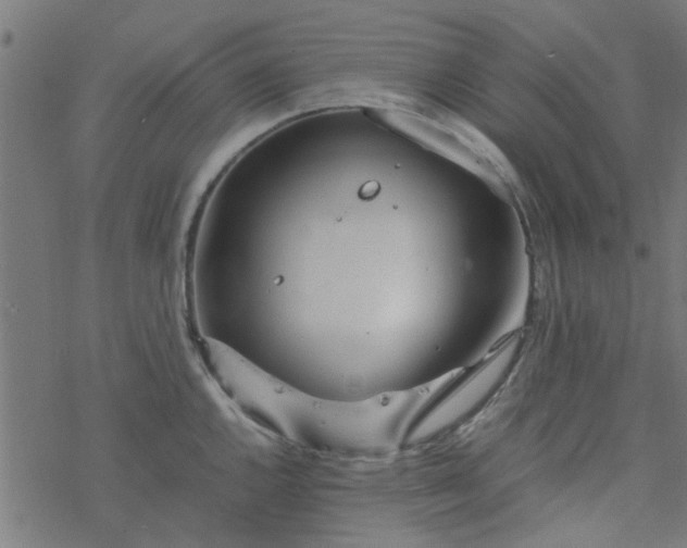 X0000077361144200611031840