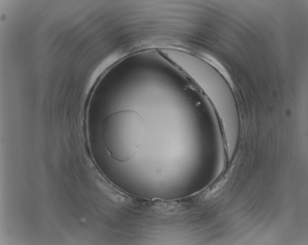 X0000077361146200611031840