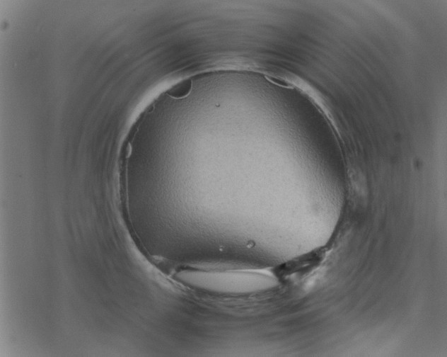 X0000077361147200611031840