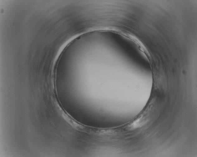 X0000077361148200611031840