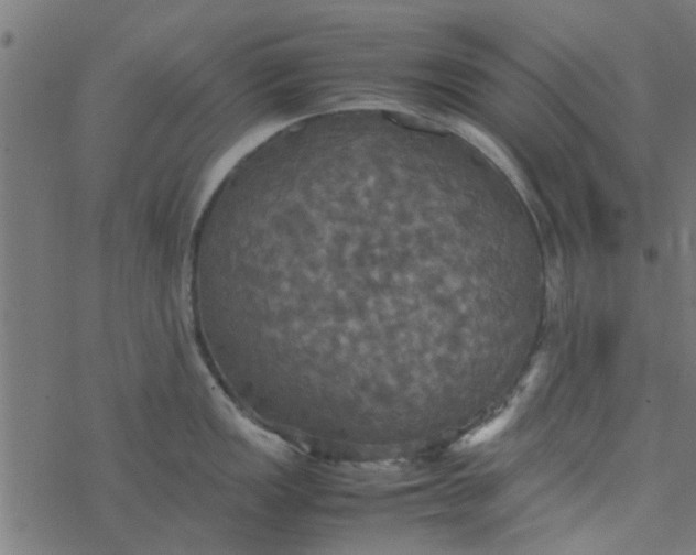 X0000077361149200611031840