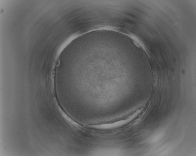 X0000077361151200611031840