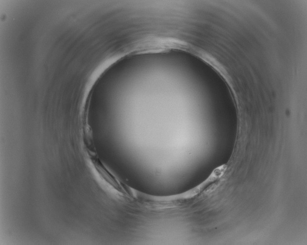 X0000077361152200611031840