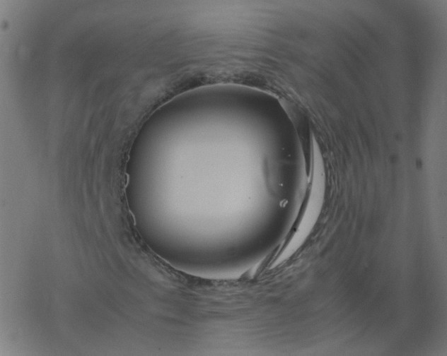 X0000077361153200611031839