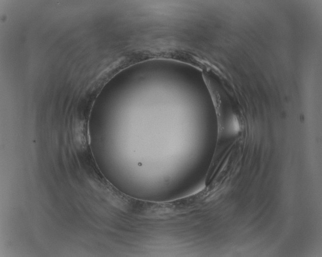 X0000077361156200611031839